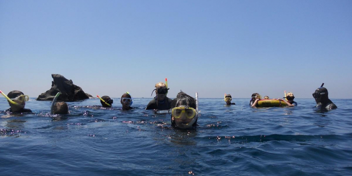 Associazione Nemo per la diffusione della cultura del mare