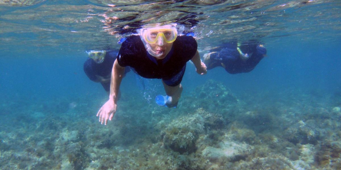 Associazione Nemo per la diffusione della cultura del mare