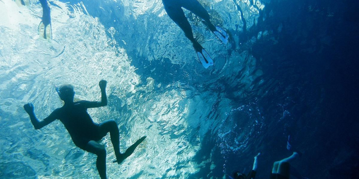 Associazione Nemo per la diffusione della cultura del mare