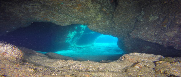 Corsi ANS Diving Ischia